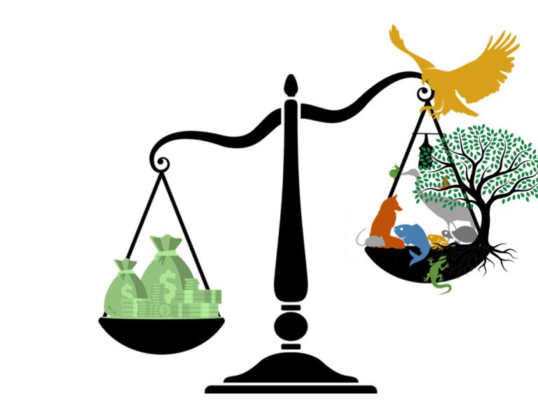 Climate Change and Legal Protections