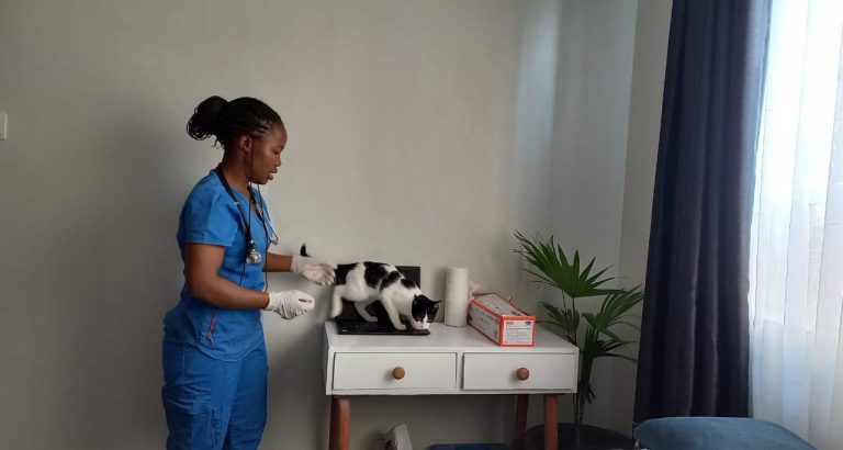 Dr. Linnet Okinyi is a veterinarian