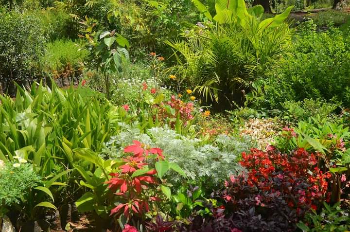 Floriculture Transforms The Landscape Of Laikipia, With Economic And Aesthetic Benefits
