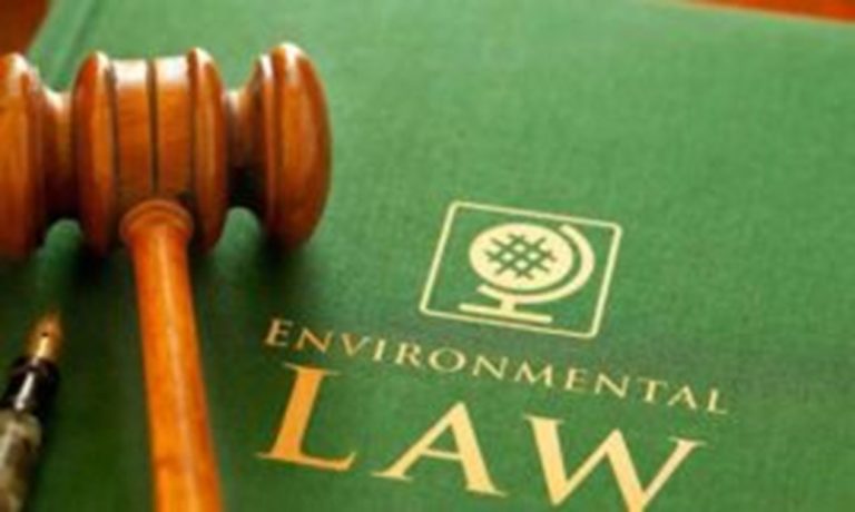 Judiciaries' Role in Harmonizing Environmental Protection