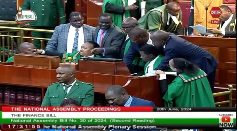 MPs voting for the Finance Bill 2024
