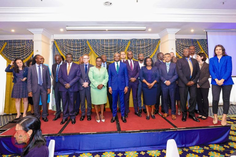 The key development partners
