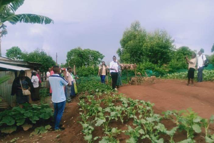 Vihiga Residents Encouraged To Venture Into Indigenious Vegetable Farming