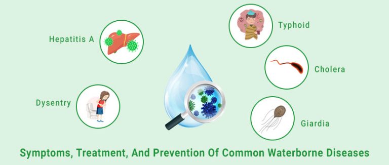 Waterborne Diseases.