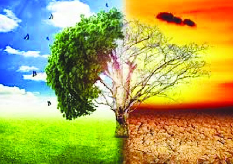 Climatic Change.