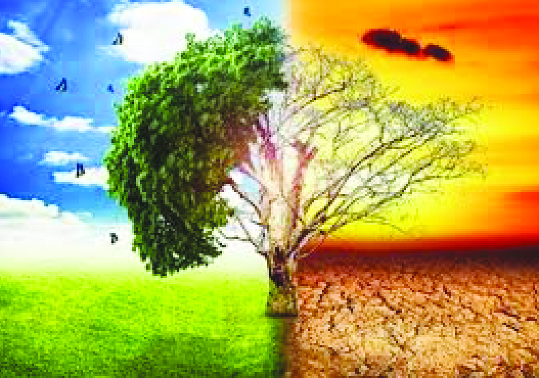 Climatic Change.