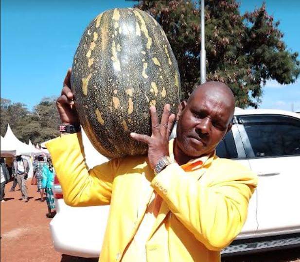 Murang’a County Farmers Reaps Big From Pumpkin Farming