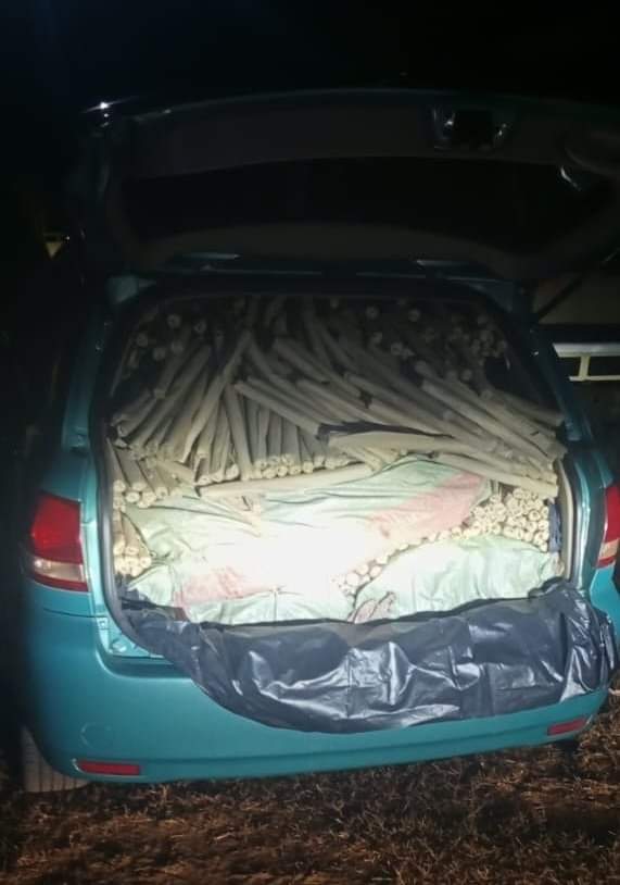 Suspect In Cuffs, Cannabis Worth Over Sh11 Million Seized