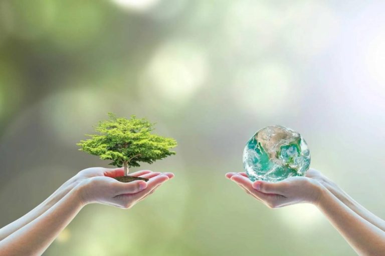 The Importance Of Protecting Nature