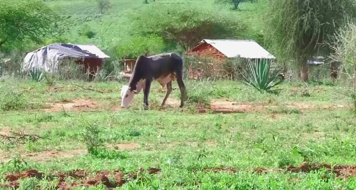 Embu Residents Warned To Be Vigilant Over Land Fraud