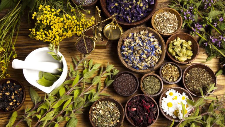 Integrating Traditional Medicine into Health Care Systems