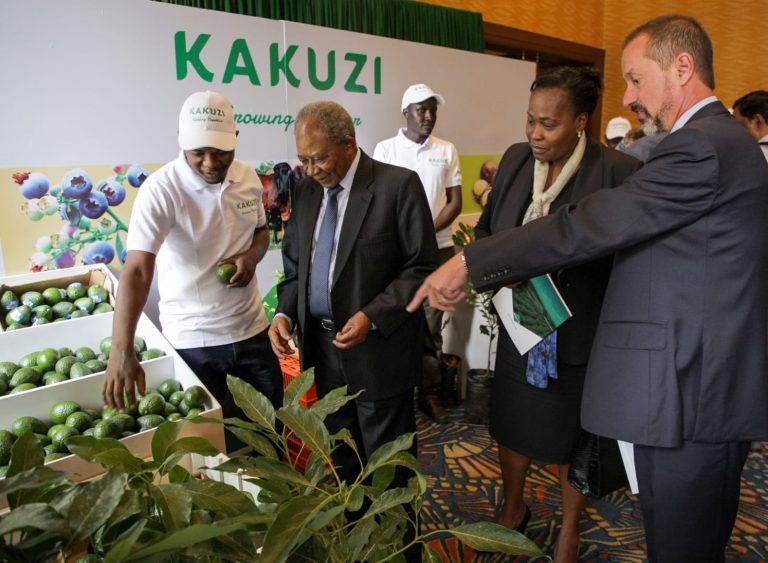 Kakuzi Assistant Manager Extension Services Laban Mwaura, Chairman Nick Ng'ang'a, Director Pamella Ager and MD Chris Flowers at 95th AGM