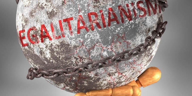 Liberty And Egalitarianism
