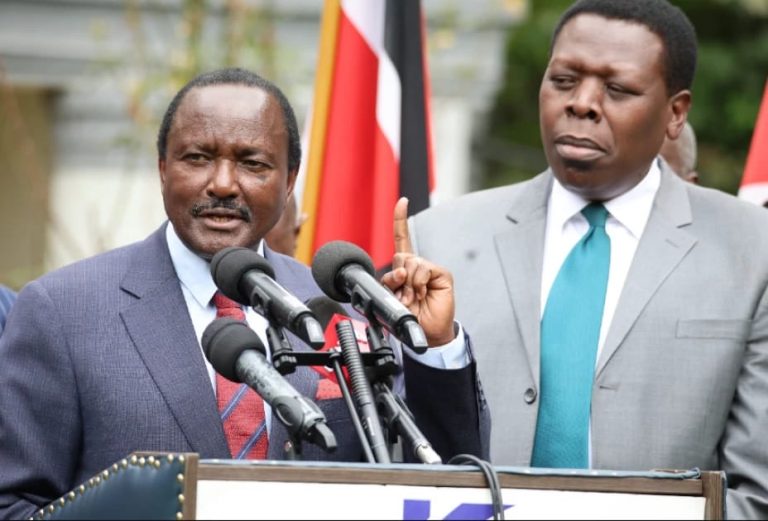 Wiper Leader Kalonzo Musyoka issues his address to the media looking on is DAP-K leader Eugene Wamalwa at the Ufungamano House.