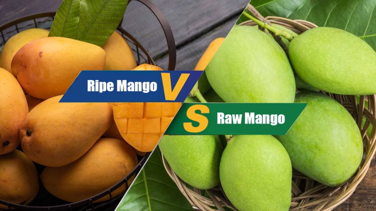Raw vs. Ripe Mangoes