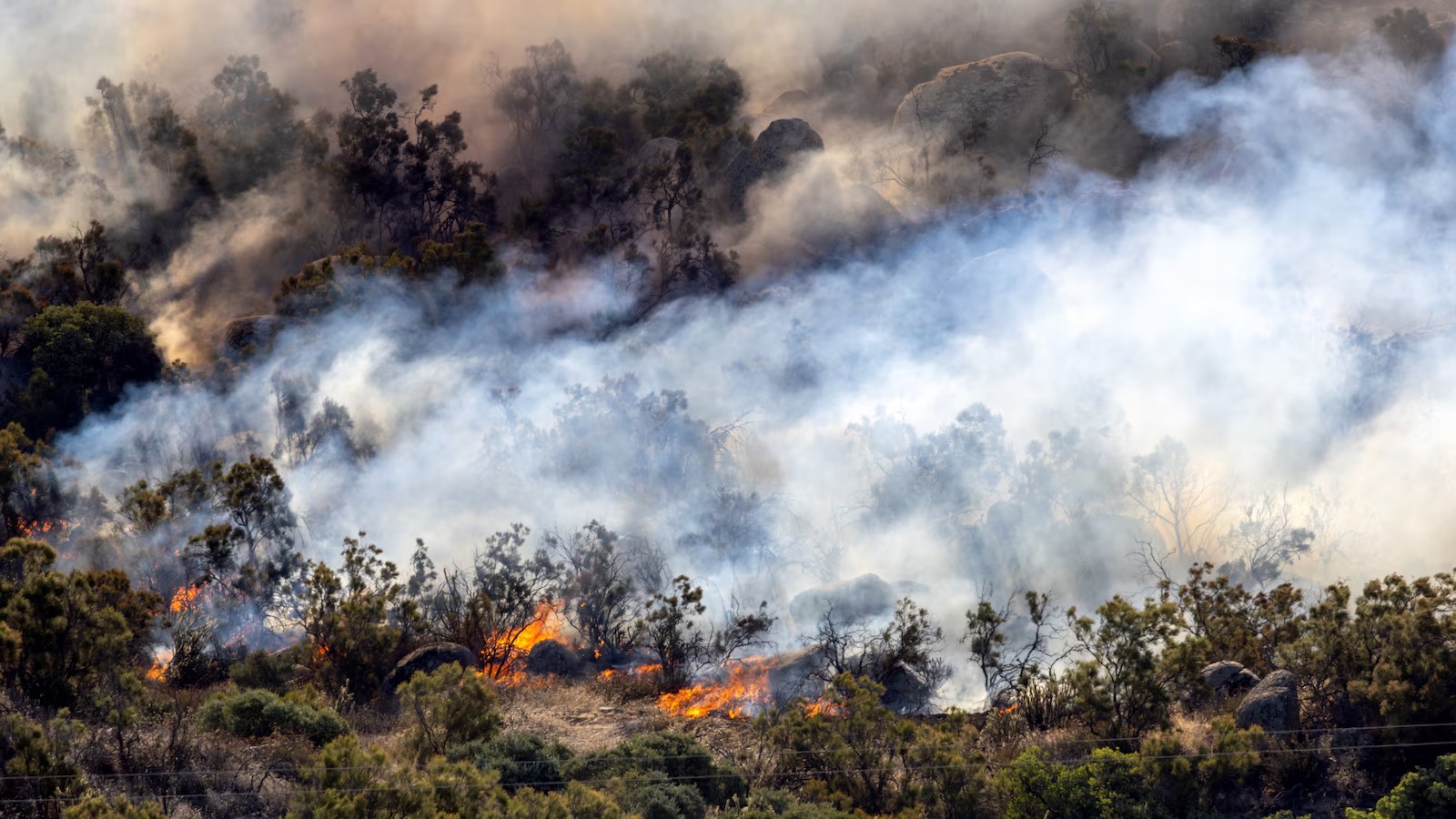 The Climate Crisis