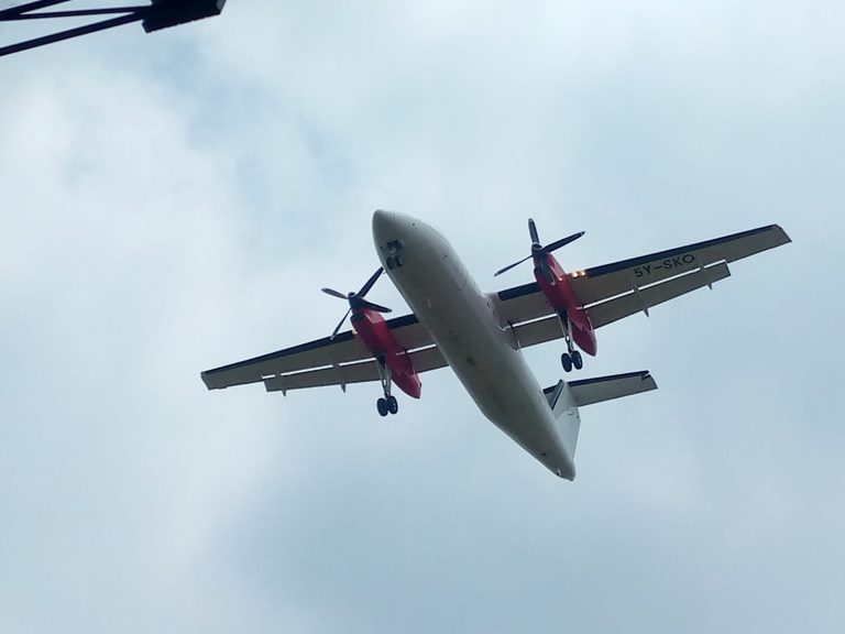 The Flying Leader