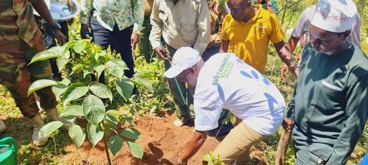 Tourism Ministry Launches ‘One Tourist, One Tree’ Campaign To Boost Sustainable Travel