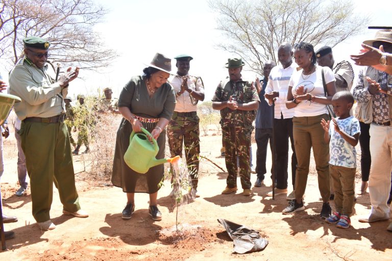 Tourism and Wildlife Cabinet Secretary Rebecca Miano watering plant
