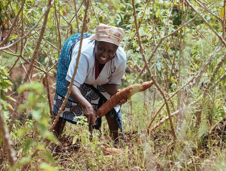 Adoption Of Climate-Smart Seeds Key To Boosting Food Security