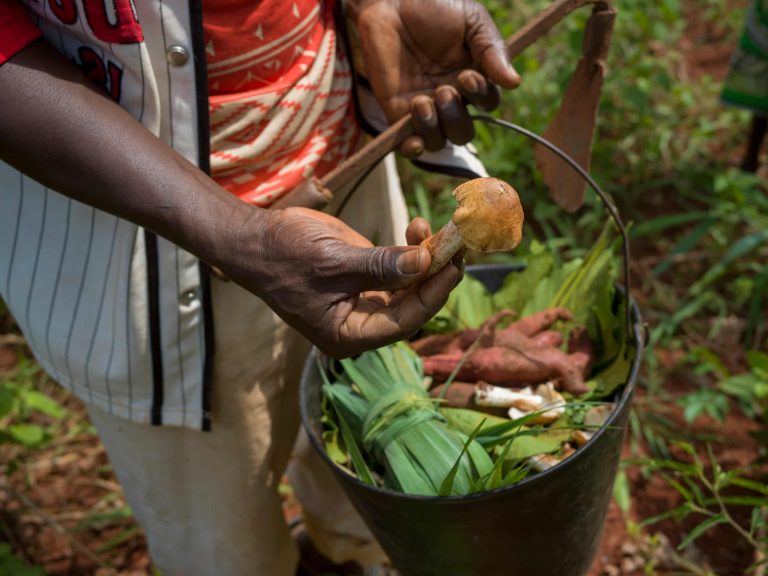 Food Security