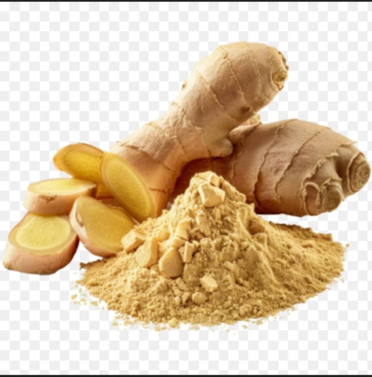 Ginger (Zingiber officinale)