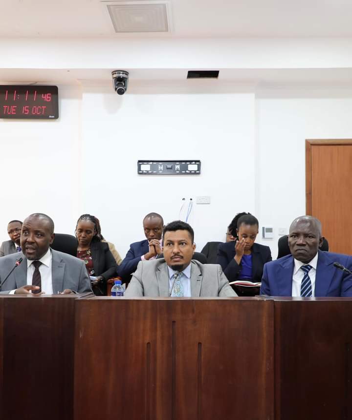 Parliamentary Committee Seeks Status Update Of Kenya Airways Privately Initiated Investment Proposal To KAA
