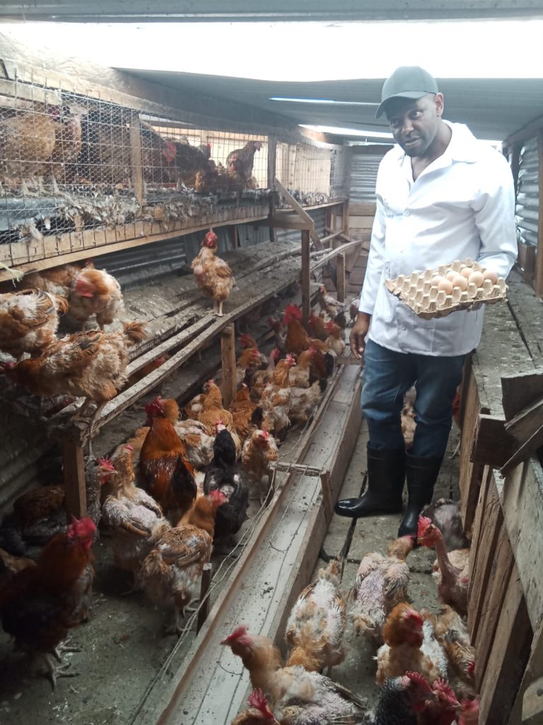 Samuel Wanjohi Kihagi in his pouty farm attending to his bird's and pigs.