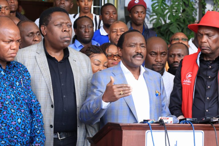 Wiper party leader Kalonzo Musyoka addressing the media at a hotel in Nairobi.