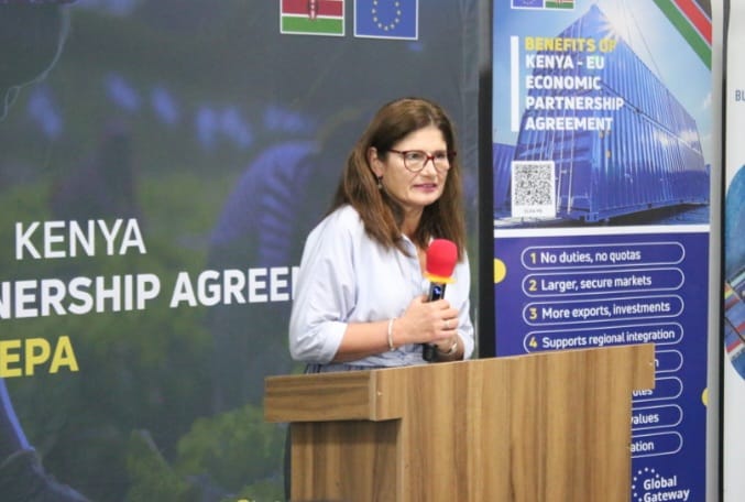 Ambassador of the European Union to Kenya Henriette Geiger
