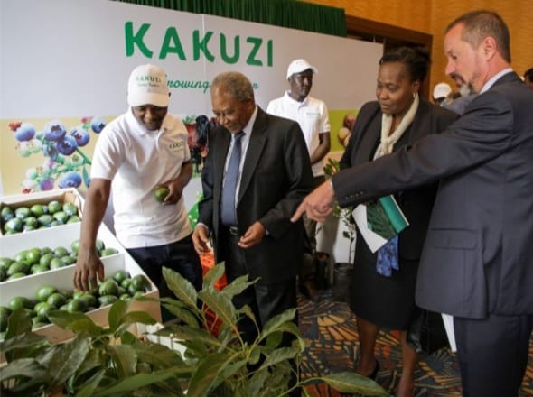 Kakuzi Assistant Manager Extension Services Laban Mwaura, Kakuzi Chairman Nicholas Nganga, Kakuzi Director Pamella Ager and Kakuzi Managing Director Chris Flower
