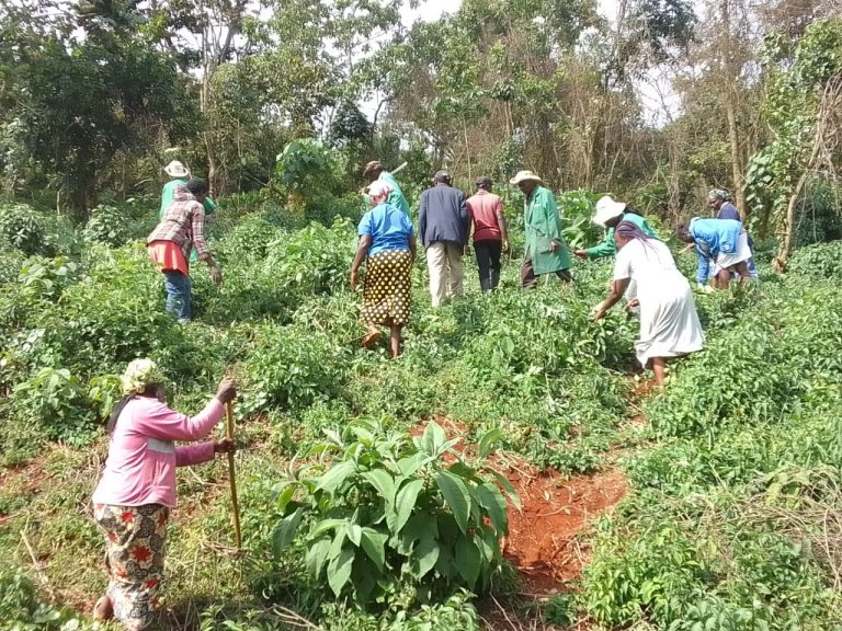 Zambani Community environmental committee leads Elijah Mulwa and Mr Nicholas King'ooo during the inspection of the forest.