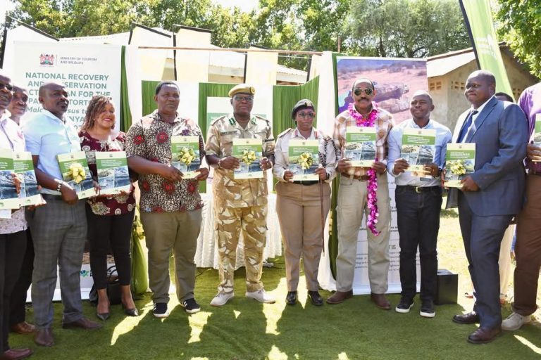 Kenya Launches Landmark 10-Year Plan to Rescue the World’s Rarest Tortoise (1)