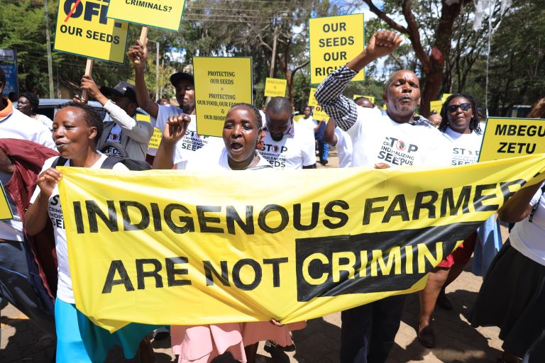 Farmers and Civil Society Groups Challenge Kenya’s Seed Law in Court, Citing Threat to Traditional Practices