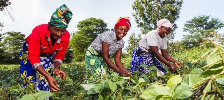 Three Kenyan Startups Make the Cut in Qualcomm’s Africa Innovation Program 2025