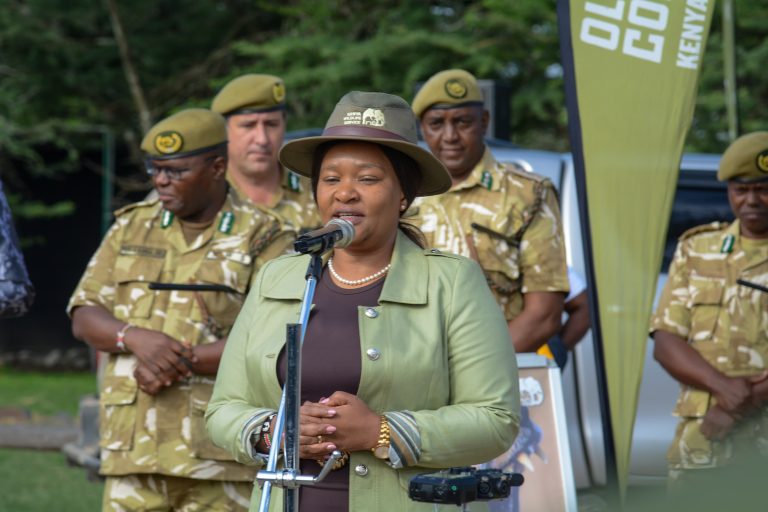 Kenya Begins Relocation of 21 Critically Endangered Rhinos to Boost Conservation Efforts