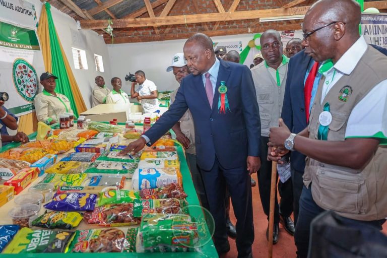 Agriculture and Livestock Development Cabinet Secretary Mutahi Kagwe