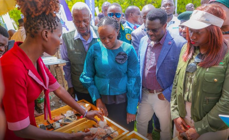 Kenya Ramps Up War On Plastic Pollution At World Environment Day Celebrations In Tharaka Nithi