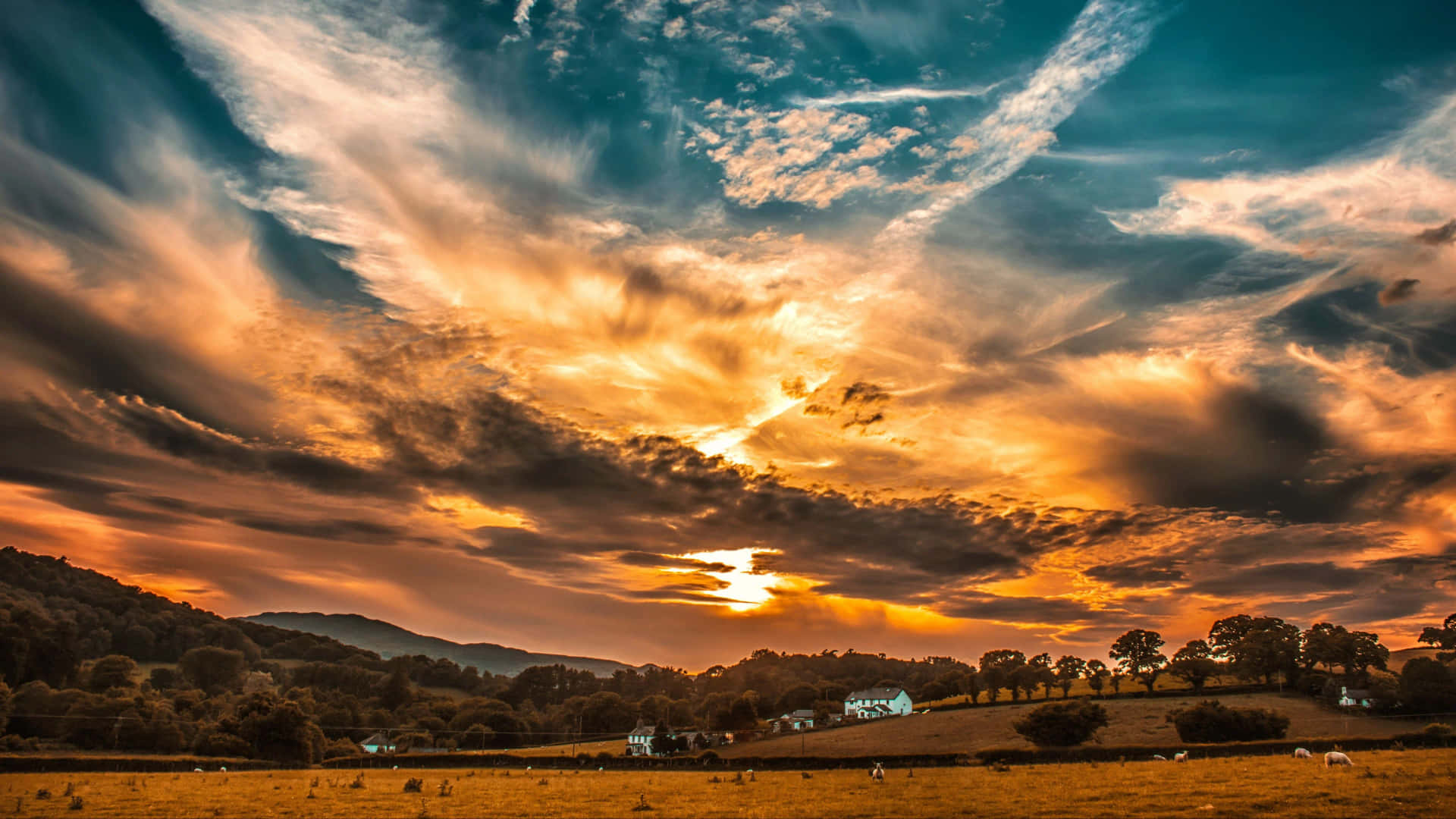 The Beautiful Sky