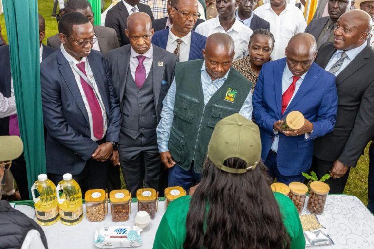 The First National Conference On Macadamia Farming Taking Place In Embu (18)