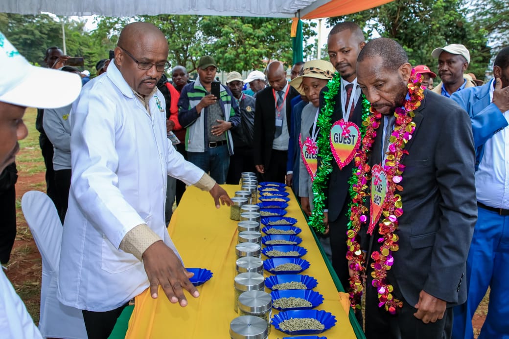 Kirinyaga Deputy Governor David Githanda being taken through various grades of coffee.
