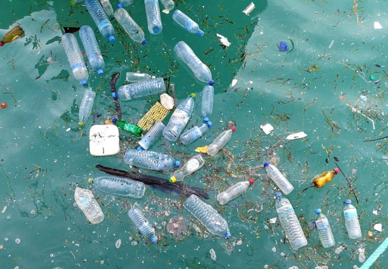 Plastic Pollution