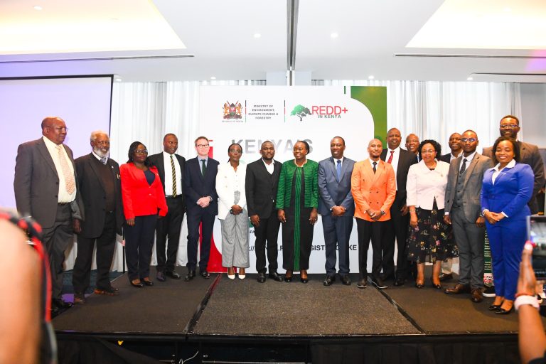 New Registry to Help Kenyan Communities Earn From Forest Conservation
