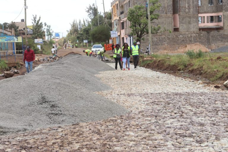 A section of the Raibow-Juja Farm Road.
