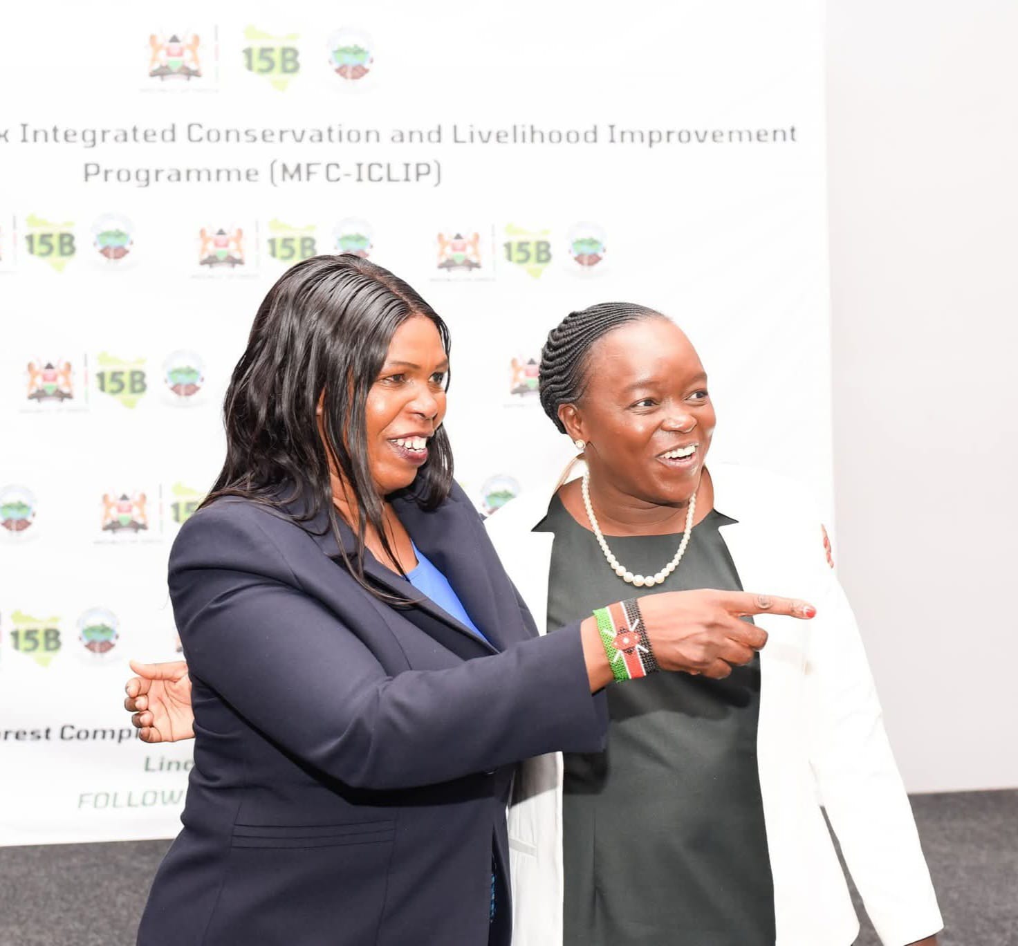 Dedan Kimathi Foundation has pledged to be donating one million trees seedlings towards the restoration of Mau Forest Complex