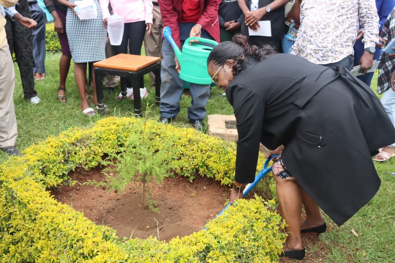 Gender PS Ann Wangombe Leads NYOTA Business Support Validation Exercise In Nyeri County