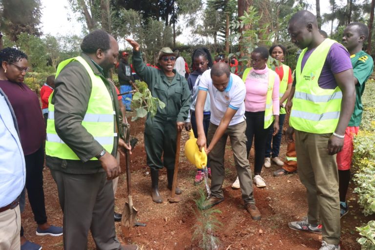 Winning Team International Leads Tree Planting In Dagoretti South To Mark National Exercise
