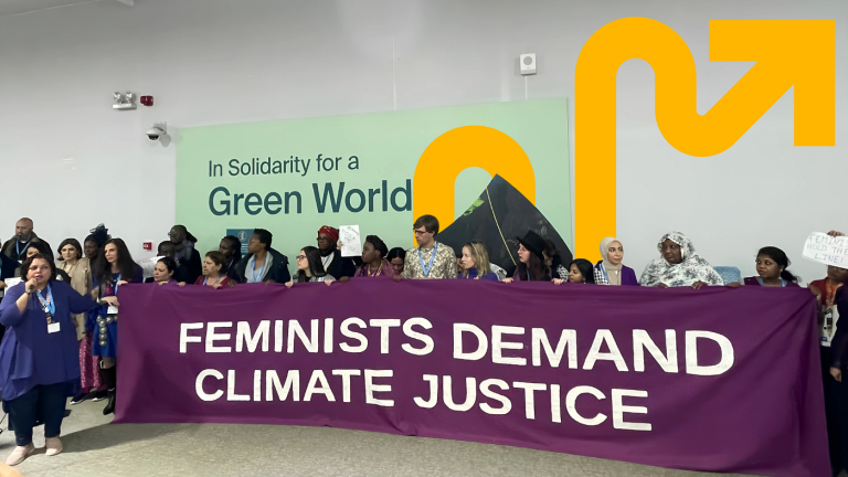 Feminists Demand Climate And Gender Justice
