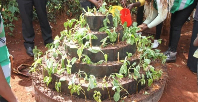 Residents Urged To Embrace Vertical Gardening For Food Security