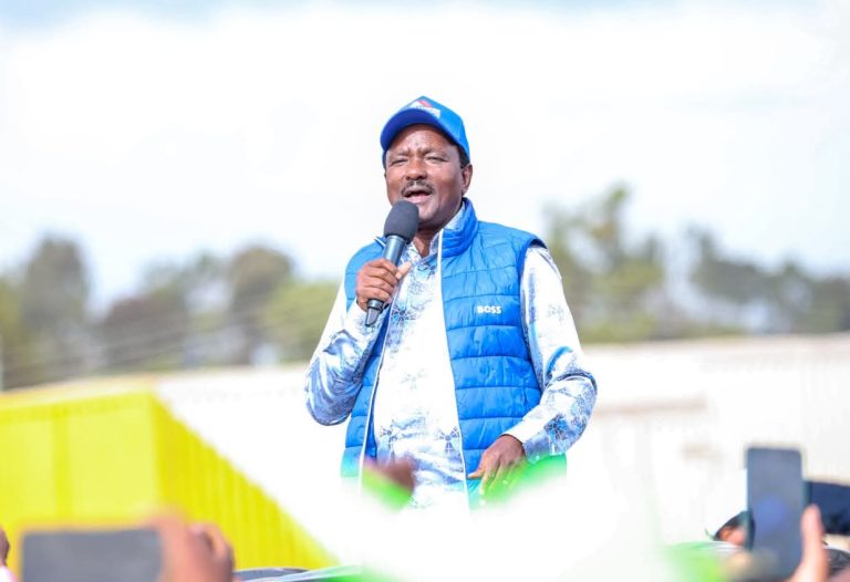 Stephen Kalonzo Musyoka addressing the public in Meru on Sunday
